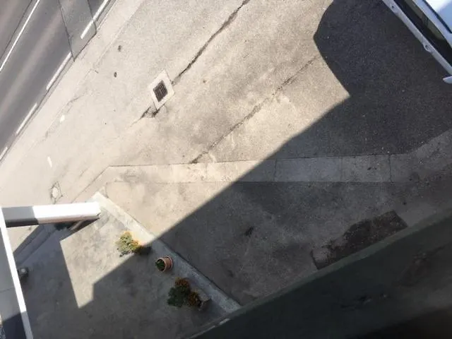 Daire Simple, Elegant Travel